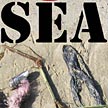 Free the Seaweed